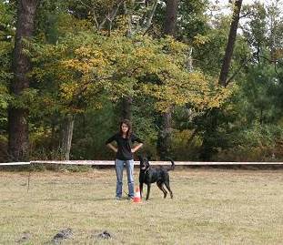 Austinn du domaine du Bois de Chartres