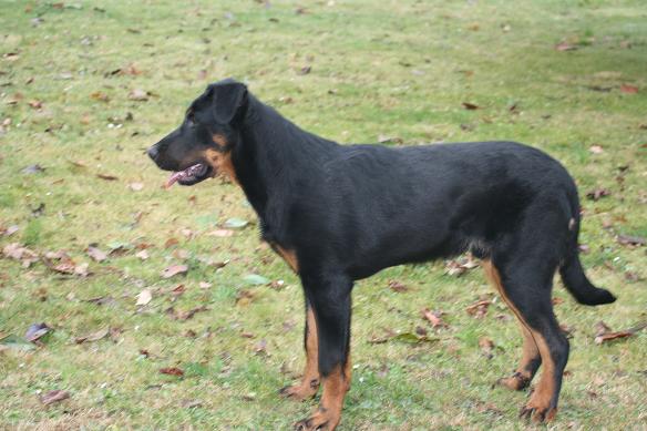 Cooper du domaine du Bois de Chartres