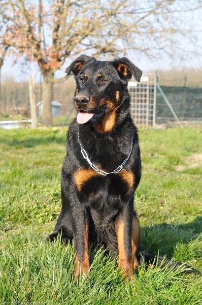 Doumaï du domaine du Bois de Chartres